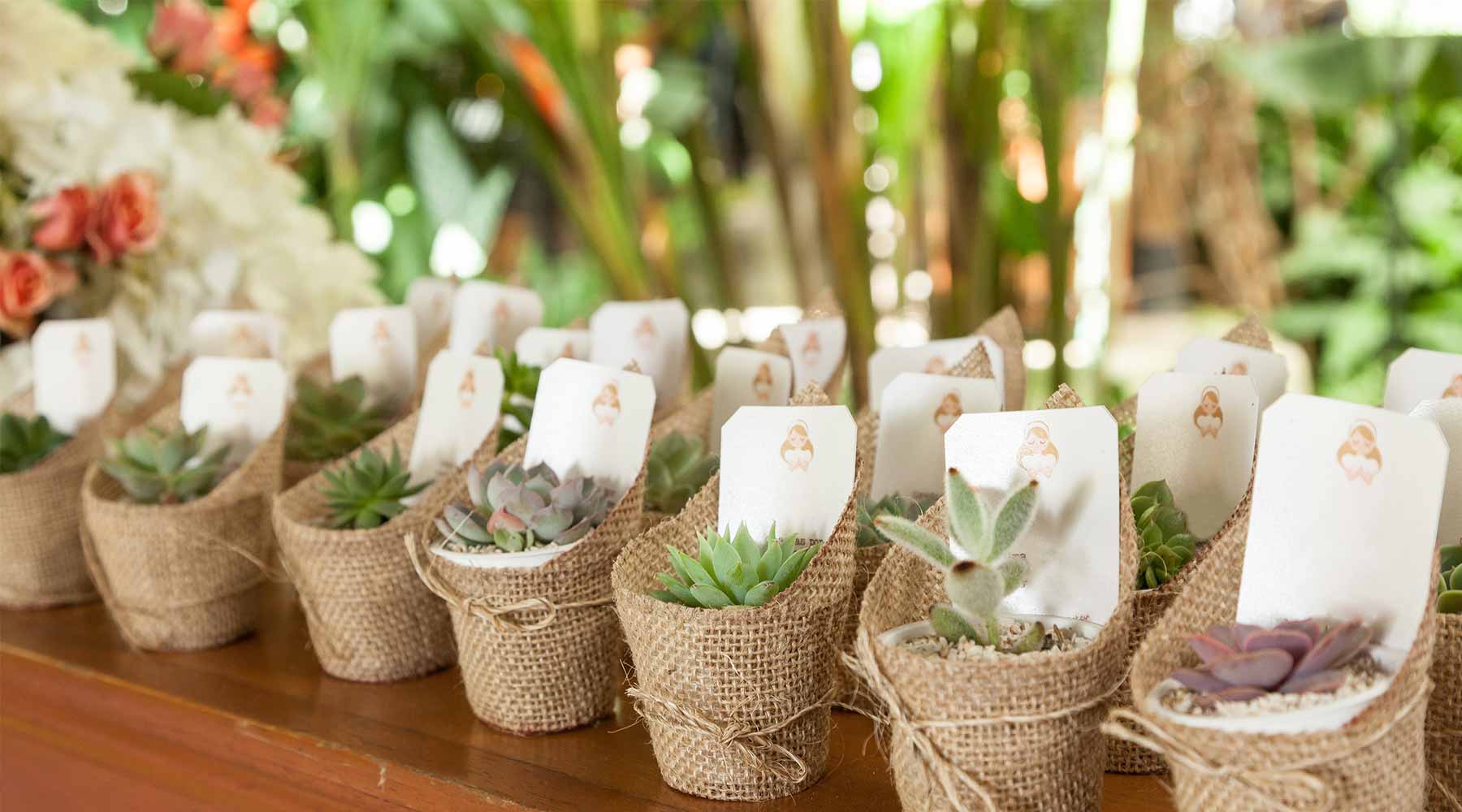 A table full of succulent boho wedding favors with each wedding guest's name is displayed with a garden in the background.
